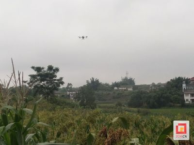 瓦市镇:无人机助力高粱病虫害防治 减轻农业污染