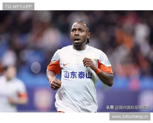 山东泰山费南多速度