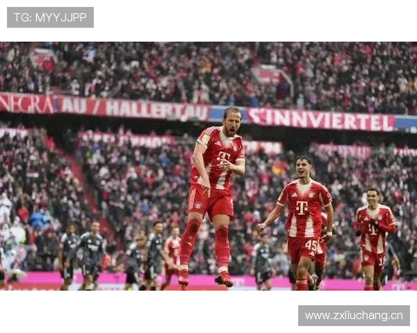 德甲慕尼黑安联球场