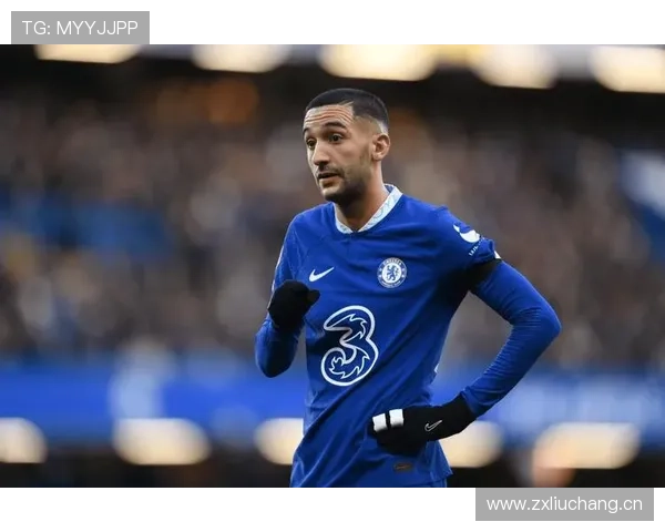 维蒂尼亚上限是否受限于技术特点与战术适配 维蒂尼亚上限是否受限于技术特点与战术适配