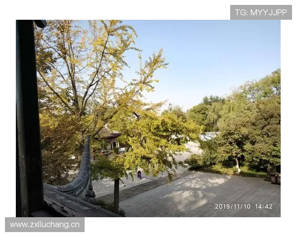 汪周雨这生活真离谱，训练基地就是他家的后花园吧？